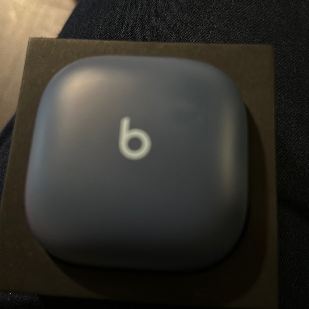 Beats fit pro earbuds. Not used,just tried on. Noise canceling. New color.